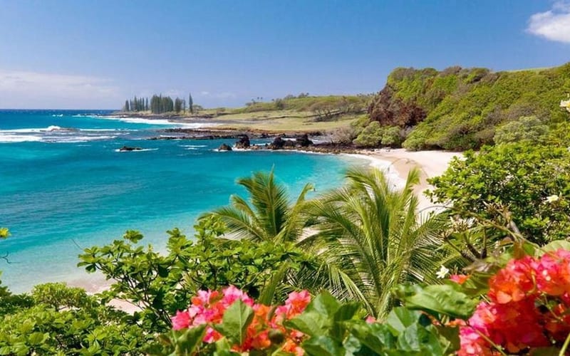 Hawaii tropical beach sunset